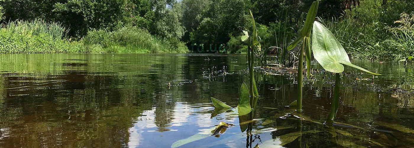 Пам'ятки