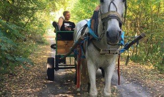 Horseback Riding Mohyliv. Take a ride?