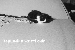 Перший в житті сніг